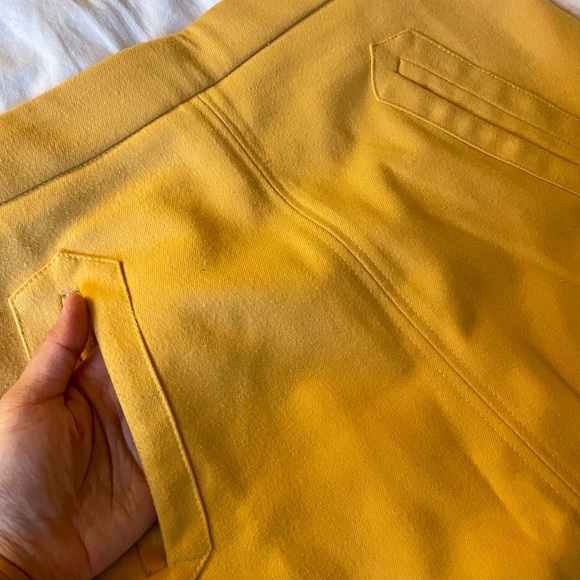 Pink Martini A-Line Skirt - Picture 3 of 4